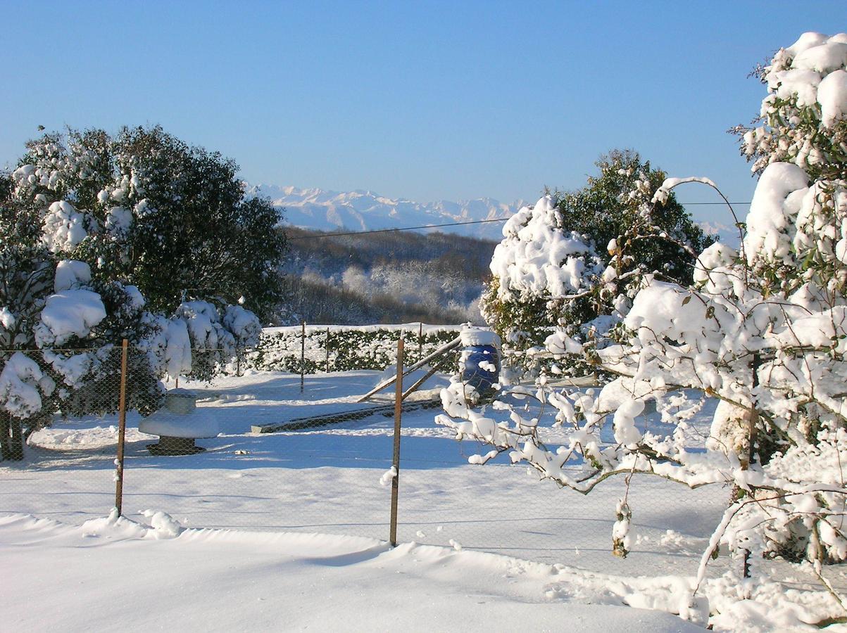 La Ferme Du Bascou Bed & Breakfast Madiere Exterior photo