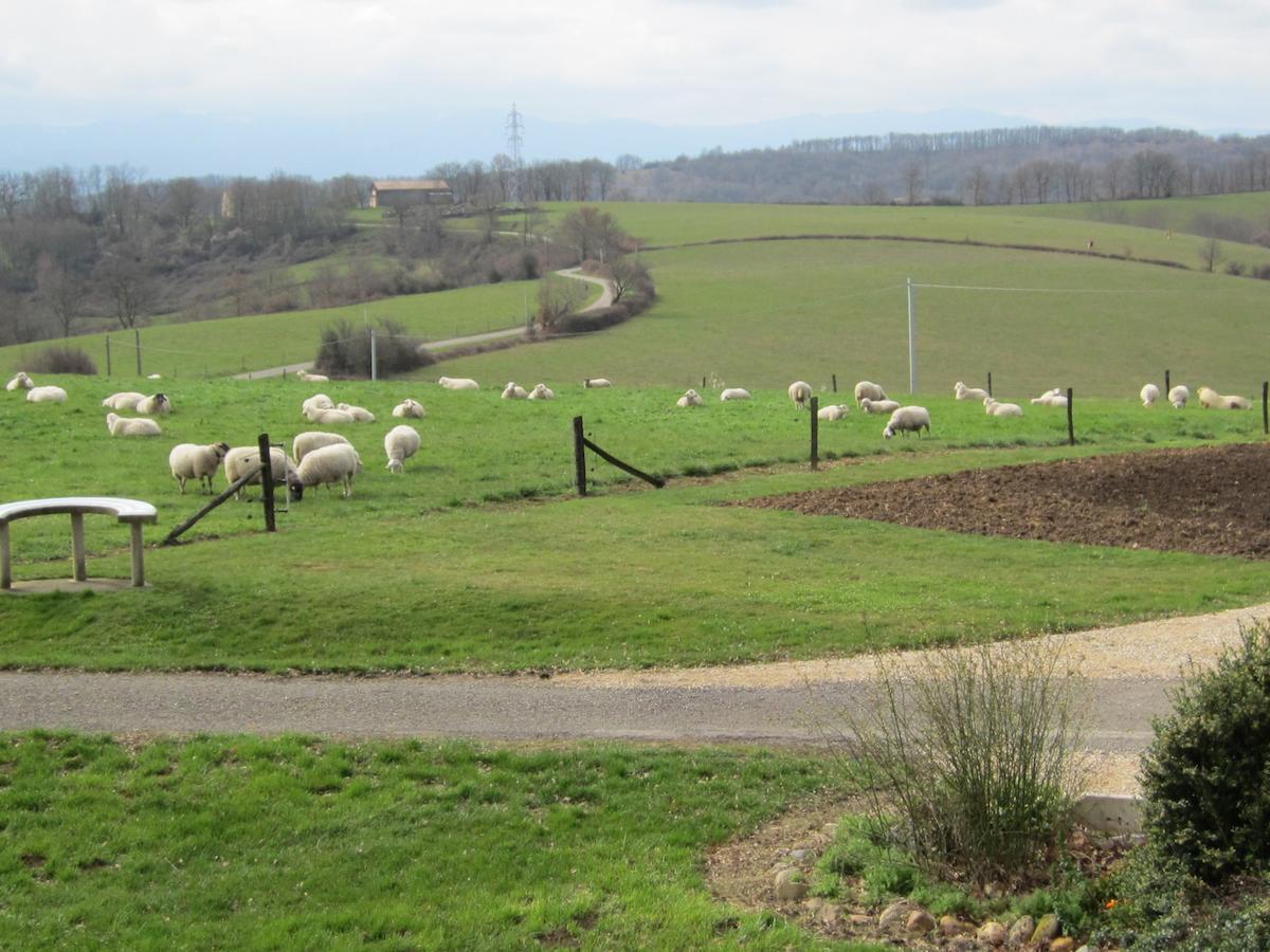 La Ferme Du Bascou Bed & Breakfast Madiere Room photo