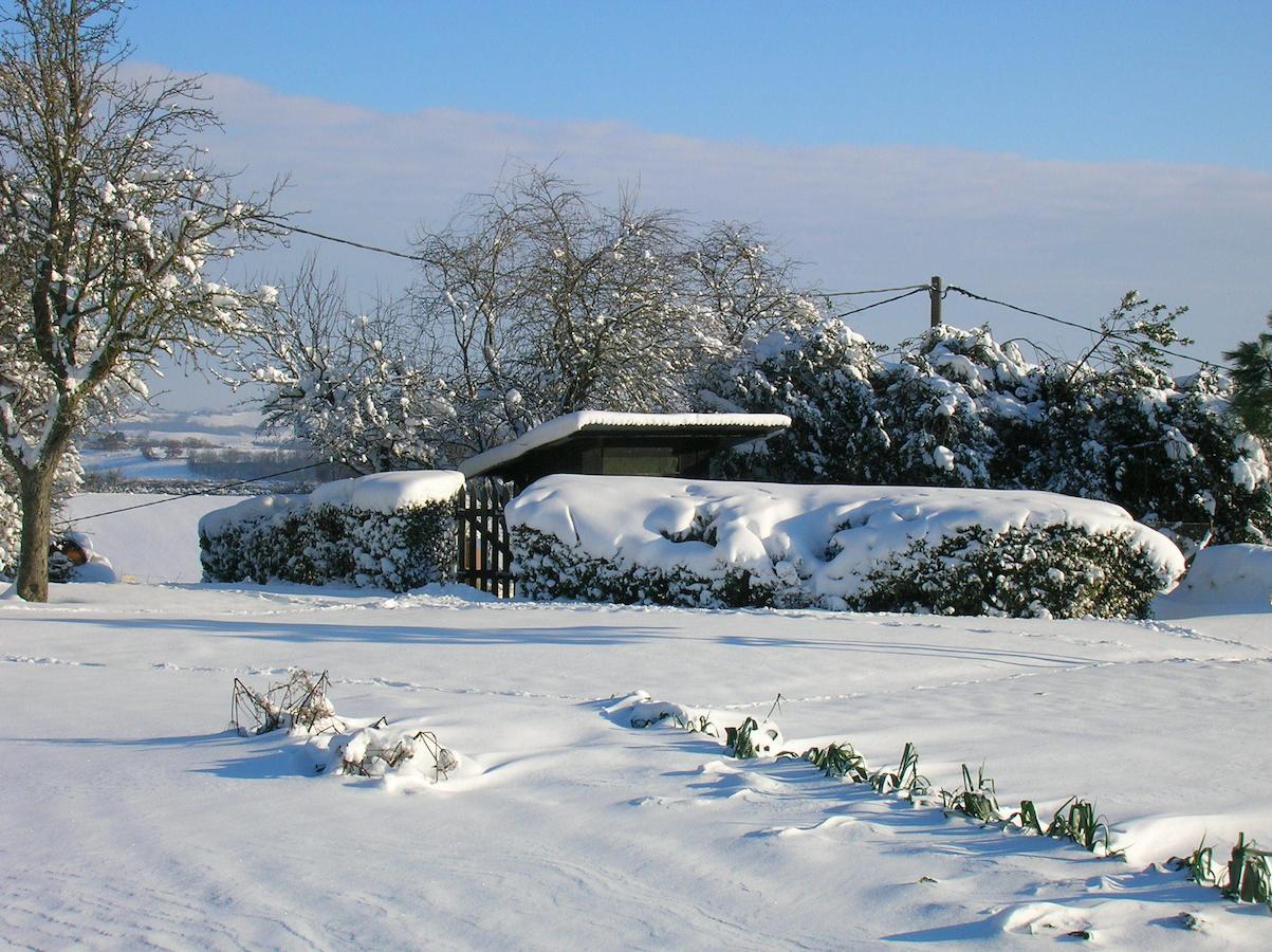 La Ferme Du Bascou Bed & Breakfast Madiere Exterior photo