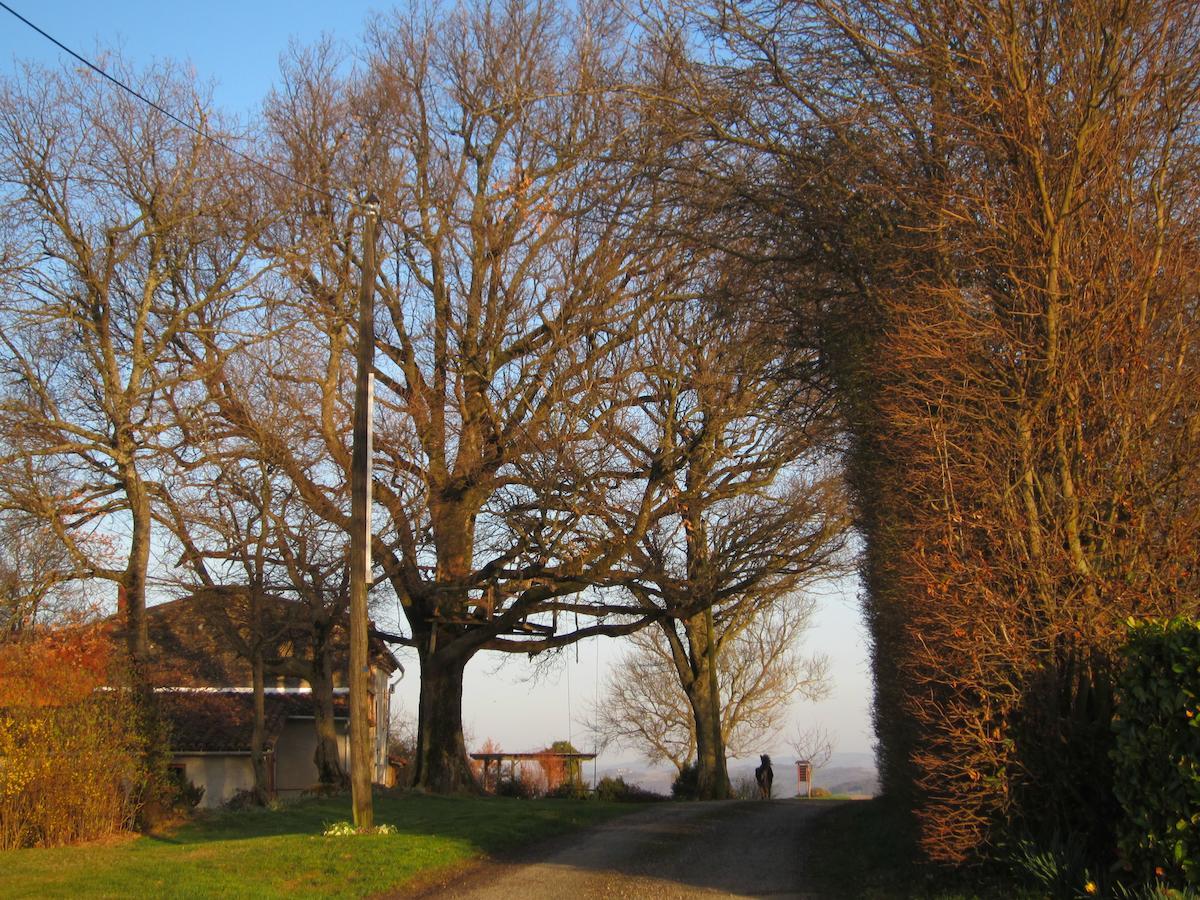 La Ferme Du Bascou Bed & Breakfast Madiere Exterior photo